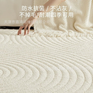 奶油风免洗可擦轻奢高级感卧室床边毯 真防水防污地毯客厅2024新款