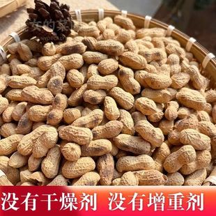 25年新花生柴火炒花生花生新货农家炒熟铁锅带壳原味批发现炒现发