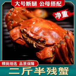 残蟹断腿蟹断脚蟹大纵湖大闸蟹特大残次鲜活螃蟹二斤半家庭装