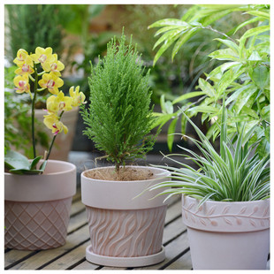 雾化白做旧ins文艺简约红陶土透气绿植浮雕花盆庭院摆件盆栽托盘