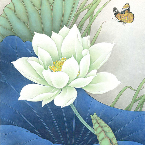 工笔画荷花小品白描底稿线稿送彩图初学临摹练习打印熟宣绘画纸
