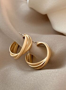 Eardrop Earrings Earring Earings Women hoop Ring earing
