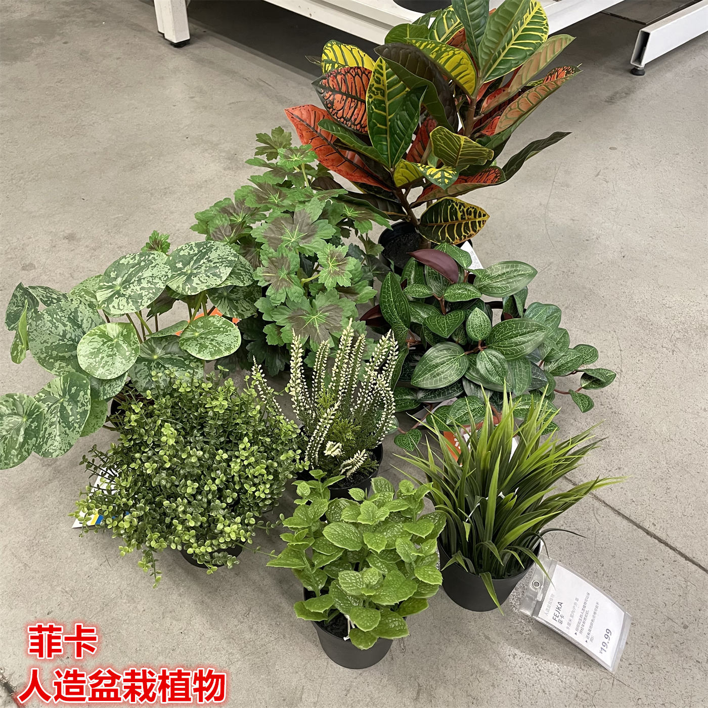 IKEA宜家 菲卡 人造盆栽植物仿真绿植家居公司装饰装扮假花植物