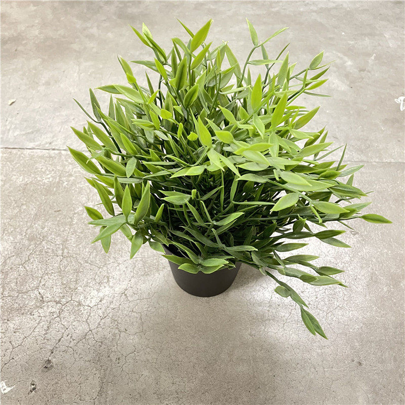 盆栽文竹仿真绿植