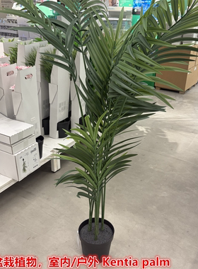 IKEA宜家菲卡 人造盆栽植物棕榈树大型仿真植物盆景装饰绿植1.8米