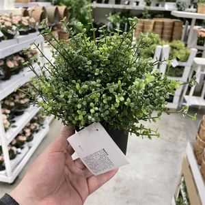 IKEA/宜家天使泪栩栩如生仿真花