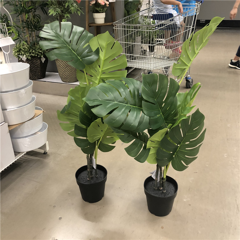 ikea宜家国内代购菲卡植物龟背竹