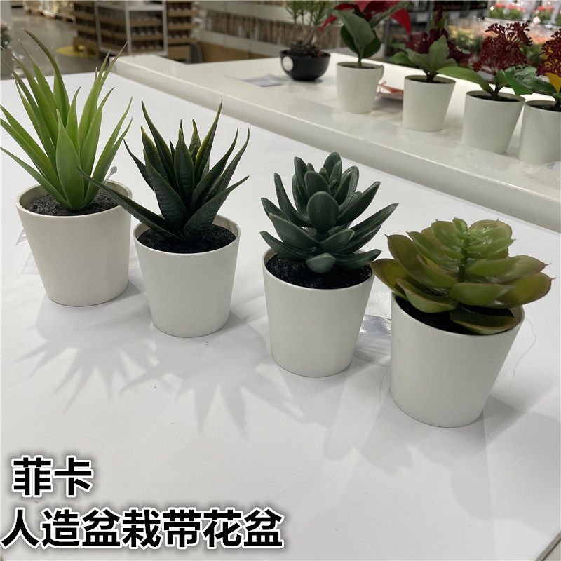 IKEA宜家 菲卡 人造盆栽带花盆肉质绿植多肉仿真植物公司家居装饰