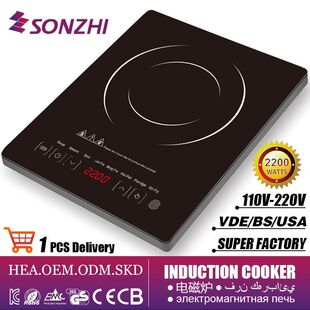 cooker 智能电磁炉灶家用电器美规110V一件代发外贸厂家induction