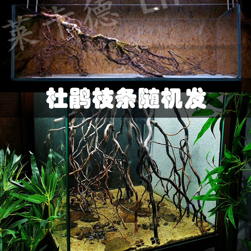 南美原生溪流缸杜鹃根枝条紫柚木沉木鱼缸造景装饰套餐水族造景