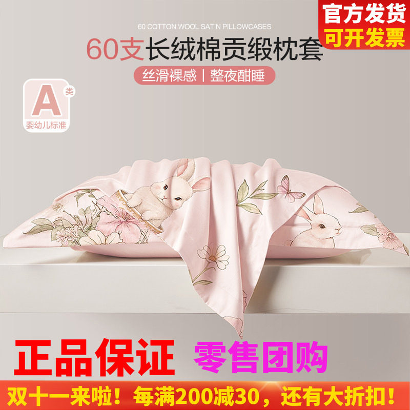 儿童枕套30×50一对装60支长绒棉幼儿园小孩枕头套男女40x60四季