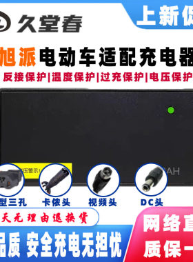 旭派电动车适配充电器电摩电自