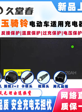 玉骑铃麒麟电动车充电器60V20AH72V30AH80V84V40AH96V50AH两孔2+2