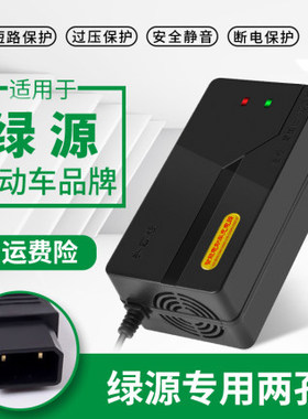 绿源电动车电瓶适配充电器48V20E60V30E72伏40E-T-2T两孔三孔反接