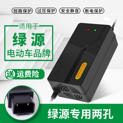 绿源电动车电瓶适配充电器48V20E60V30E72伏40E-T-2T两孔三孔反接