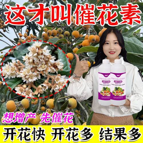 枇杷催花素花芽分化素