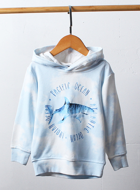 E625-D6童装92-128码欧美儿童毛圈卫衣连帽春秋长袖连帽套头外贸