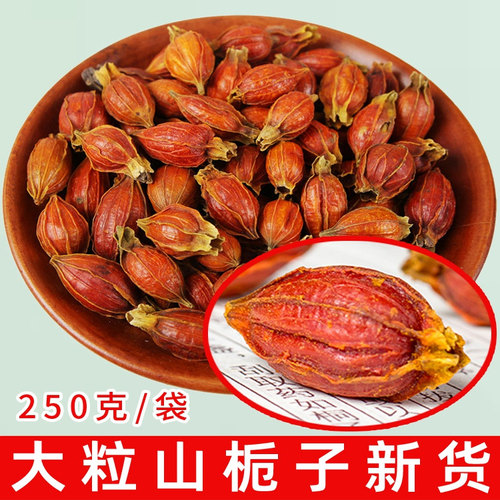 野生黄栀子枝子药用山栀子中药材