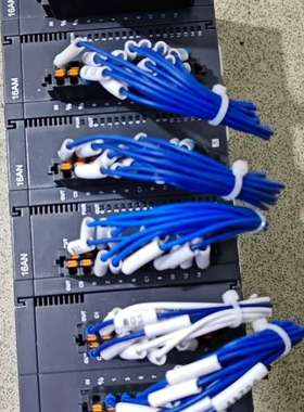 {议价}台达PLC，MODEL:AS228T-A EA，主机一个，模