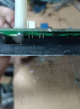 {议价}SA53779824  ，1只，