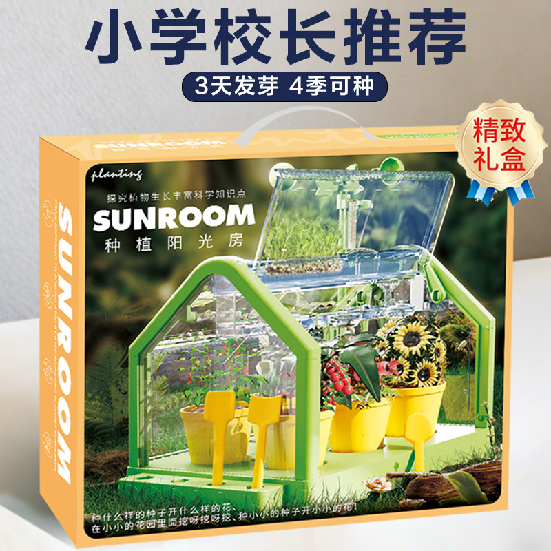 小学生5-12岁生日礼物