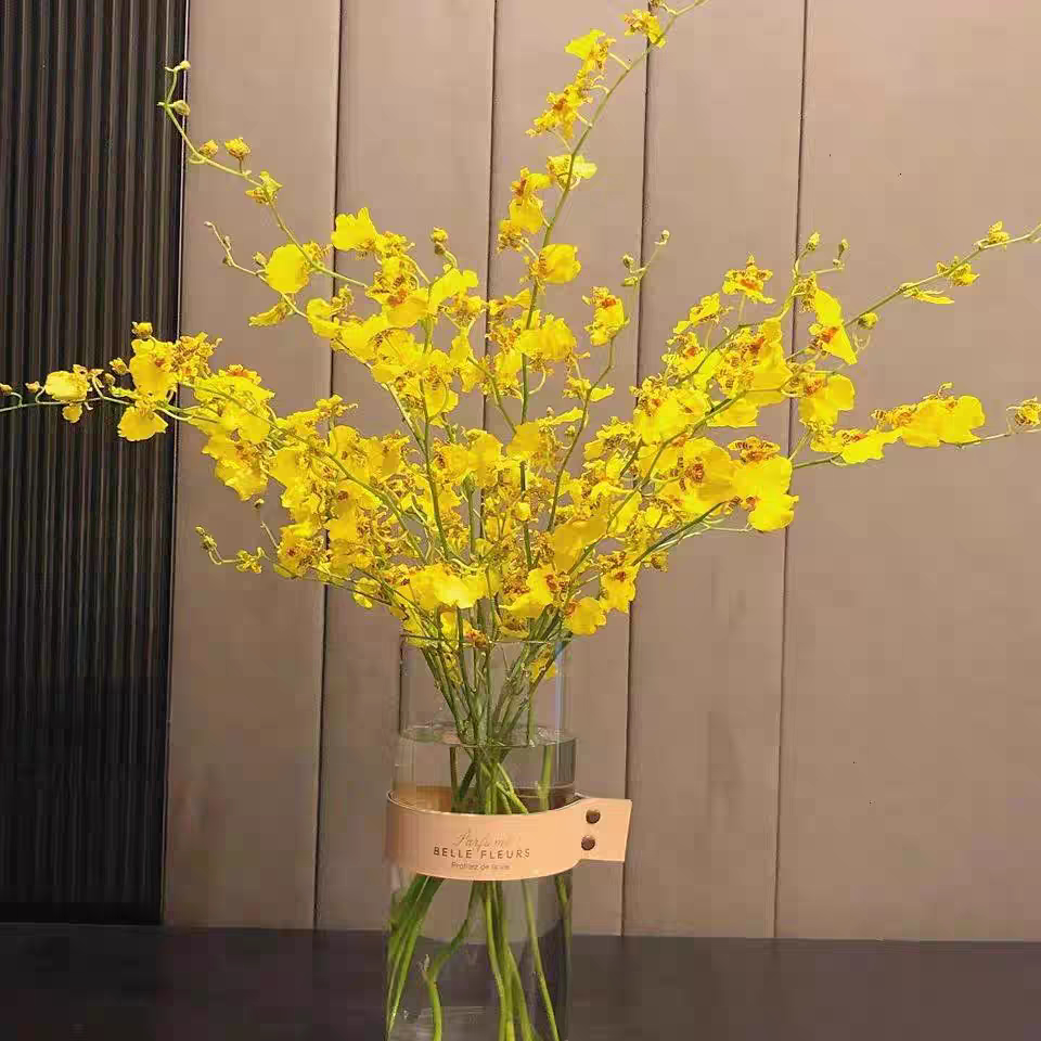 跳舞兰鲜切花真花黄色高端婚庆花材家用插花云南基地直发