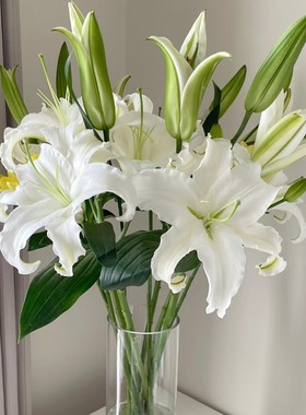 香水百合鲜花云南基地直发单头多头大花苞
