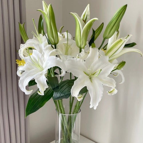 香水百合鲜花云南基地直发单头多头大花苞