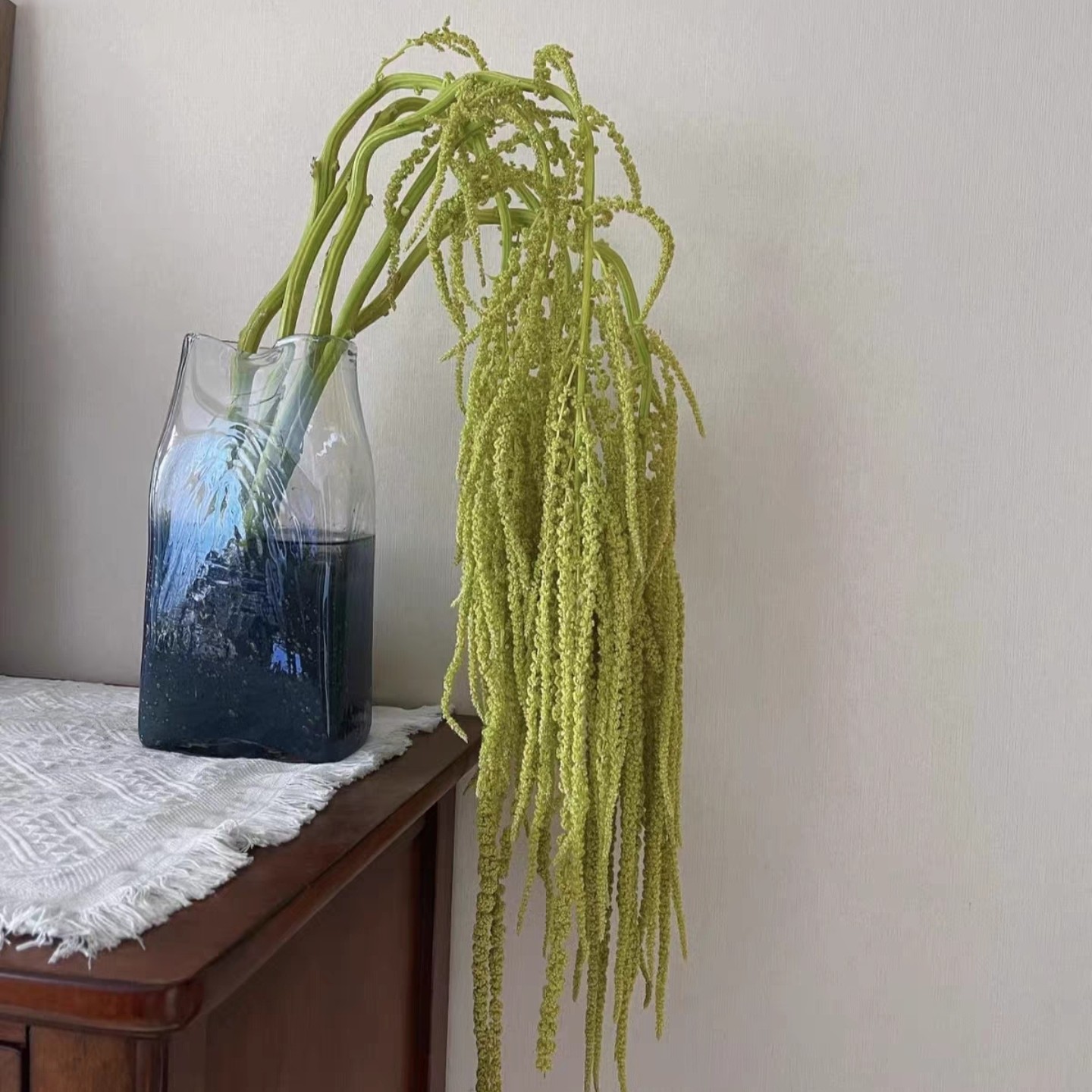 吊兰鲜切花真花水养插花花束婚庆手捧花小众花材云南直发