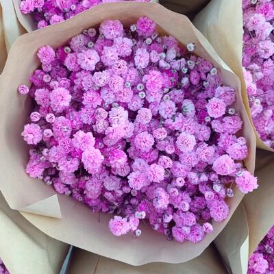 满天星鲜花云南基地直发配花可做干花