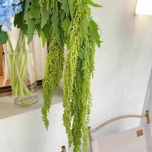 柔丽丝鲜花情人泪水养插花花束高端婚庆手捧花小众花材云南直发