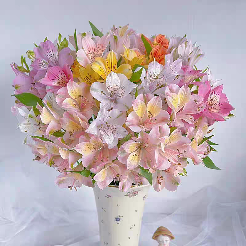 水仙百合鲜切花云南直发 六出花新鲜花材 家庭办公桌水养鲜花图片