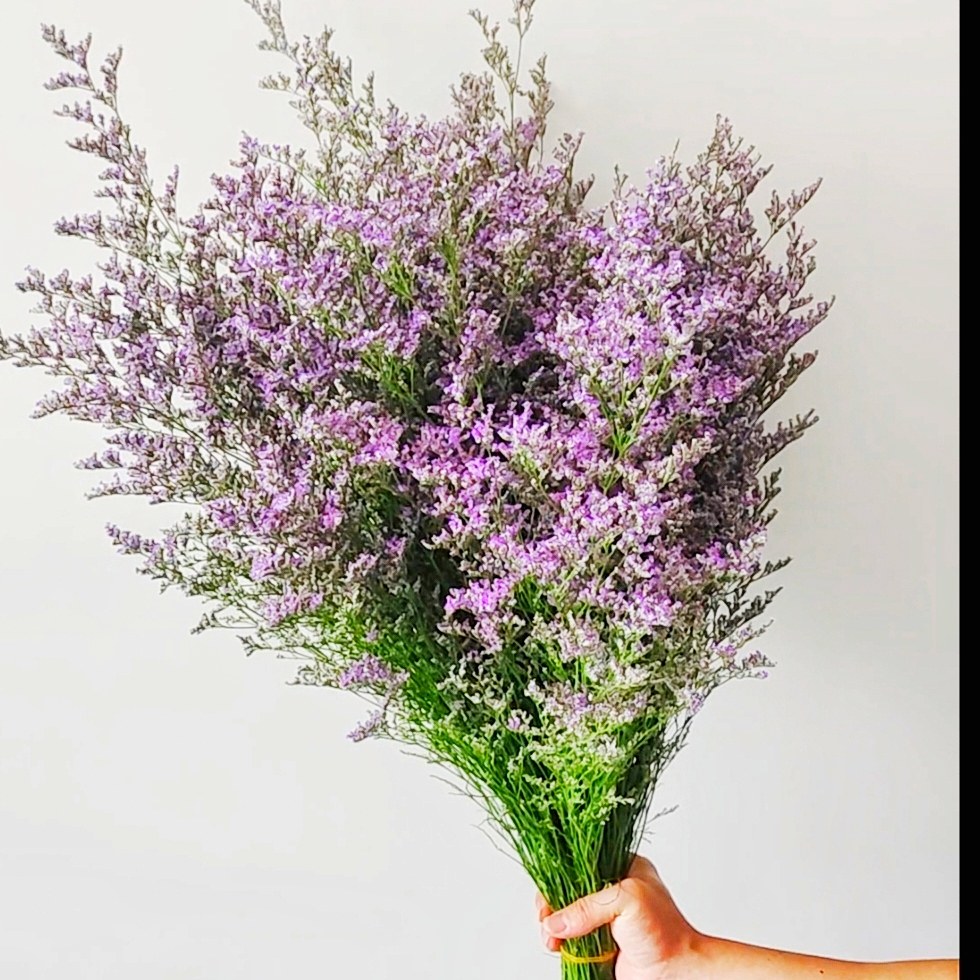 情人草水晶草鲜花真花花艺装饰插花搭配家居装饰