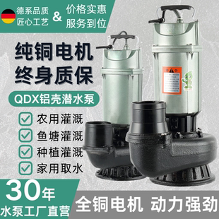 水泵家用小型220v高揚程大流量潛水泵4寸大功率抽水澆菜農用灌溉