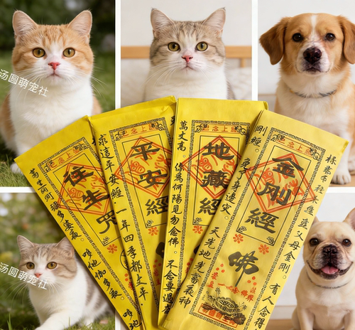 宠物殡葬祭祀用品宠物地藏经小猫狗狗葬品头七尾七纸祭金刚经烧纸