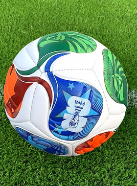 足球5号世界杯欧洲英超football欧冠机缝加厚训练比赛用球中小学