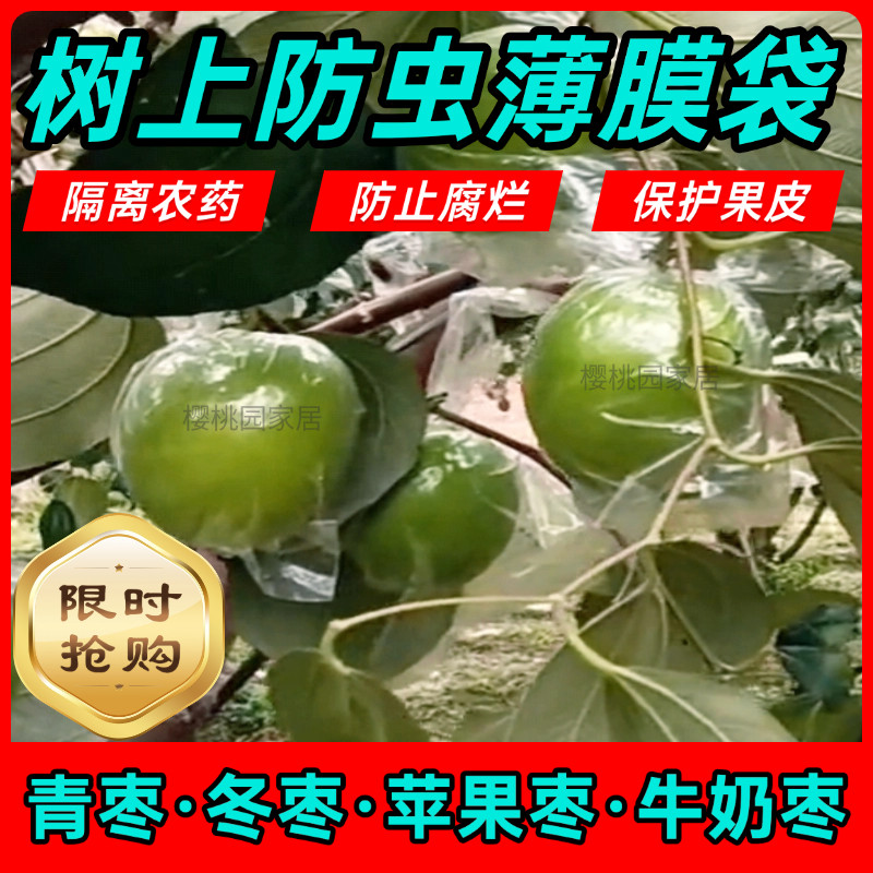 青枣防虫袋 青枣袋 牛奶青枣专用套袋 青枣保护袋 包邮百香果袋