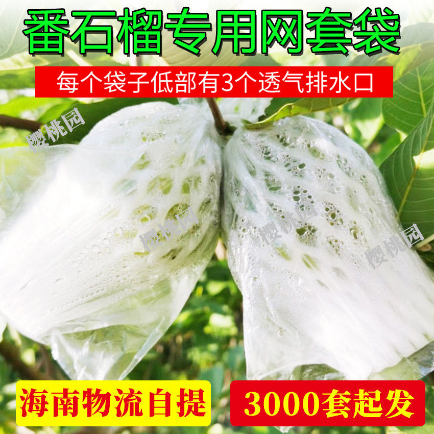 大果袋番石榴套袋水果网套芭乐套袋防虫保护袋水果防虫保护一体袋