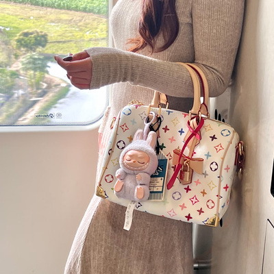 2026新款白三彩speedy25枕头包