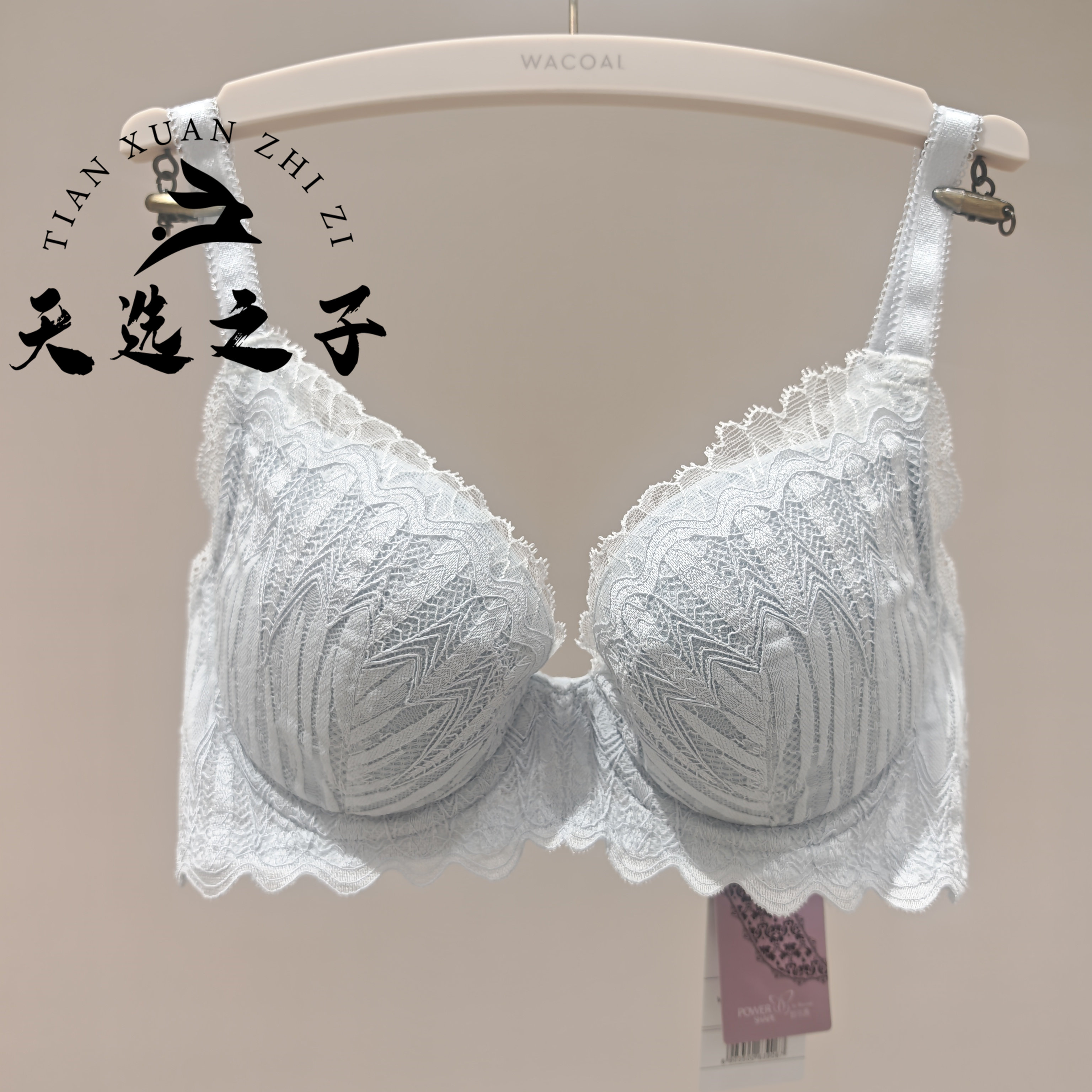 华歌尔WB37E5文胸内衣女