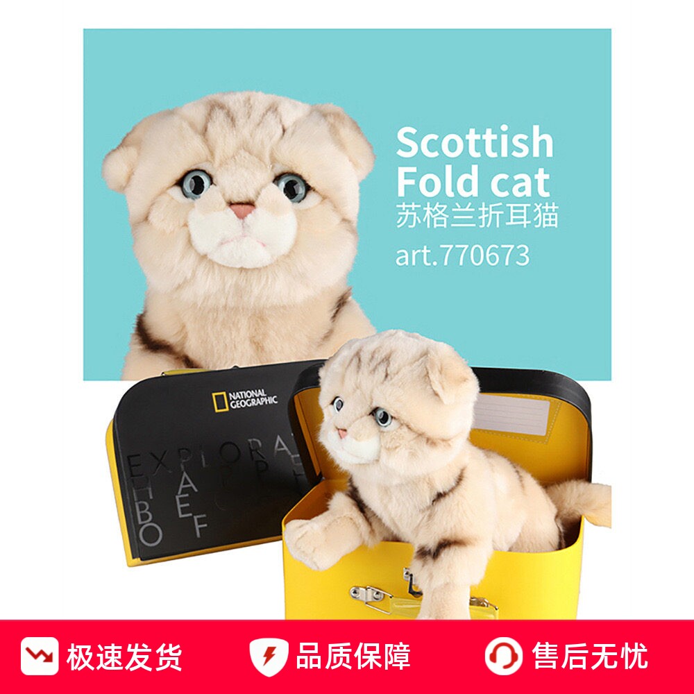 仿真英国猫咪拉布拉多毛绒玩具