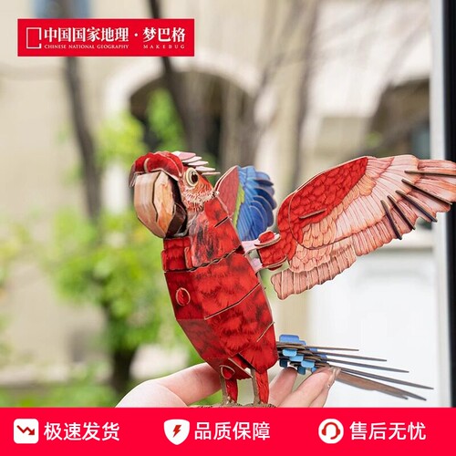 鸟类红绿金刚鹦鹉自然科普