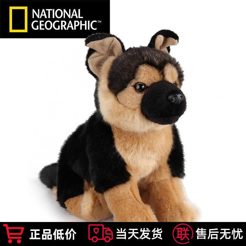 中国国家地理毛绒玩具仿真狗黑贝可卡犬吉娃娃拉布拉多德国牧羊犬