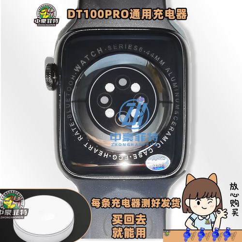 【通用】DT100PRO充电器适配华
