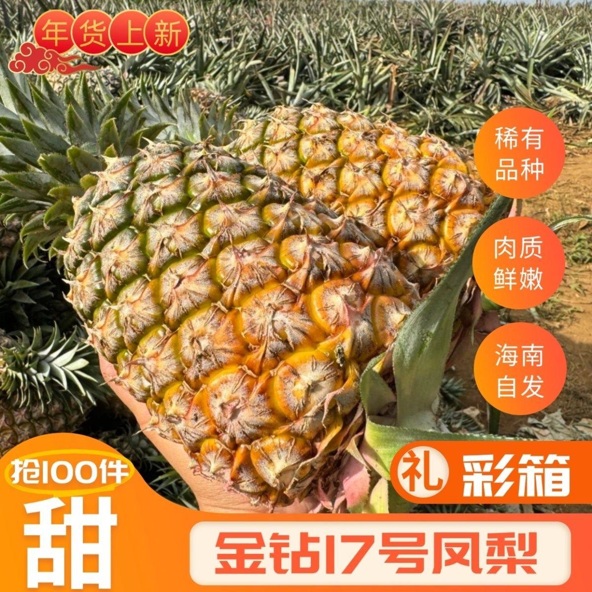 【彩箱】正宗海南金钻凤梨17号台农新鲜水果菠萝应季水果手撕香水