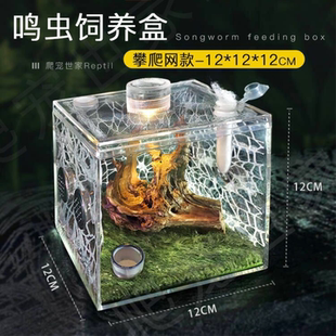 跳蛛盒子竹蛉蛐蛐亚克力甲虫螳螂桌面高透懒人昆虫蝈蝈饲养盒爬虫