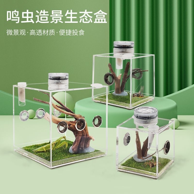 跳蛛饲养盒鸣虫生态盒蝈蝈盒油葫芦蛐蛐黄蛉竹蛉螳螂蜘蛛昆虫盒