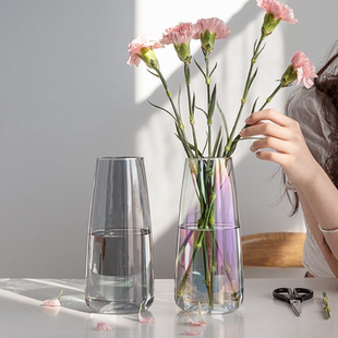 花瓶摆件客厅插花透明玻璃网红鲜花百合花玫瑰郁金香水养高级感小