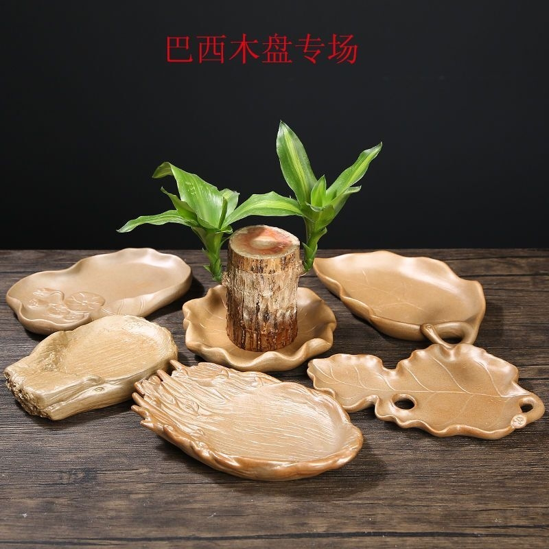 巴西木幸运木植物陶瓷专用盘粗陶拖盘创意接水盘多肉花盆底座底垫