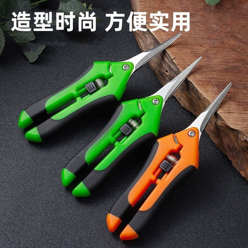 不锈钢无锯齿树枝剪园林摘果采摘葡萄剪果锋利剪刀花园修枝剪刀